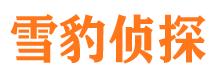 通榆外遇出轨调查取证